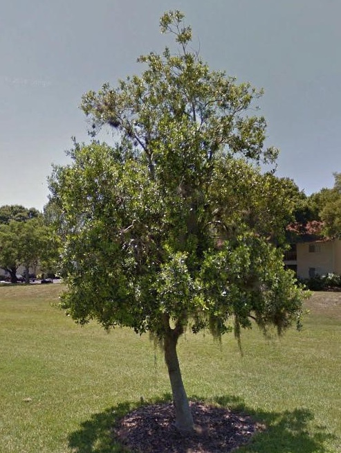 east palatka Check-out detailed east palatka real estate listings at re/max browse east palatka, florida market information to be more informed in with your big purchase. east palatka Check-out detailed east palatka real estate listings at re/max browse east palatka, florida market information to be more informed in with your big purchase.