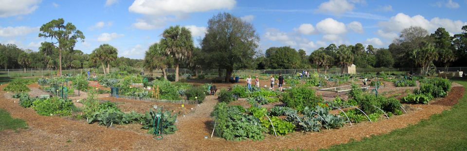 Culverhouse Community Garden