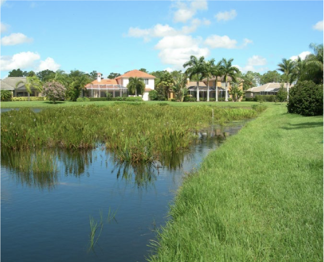 retention pond with healthy plant buffers