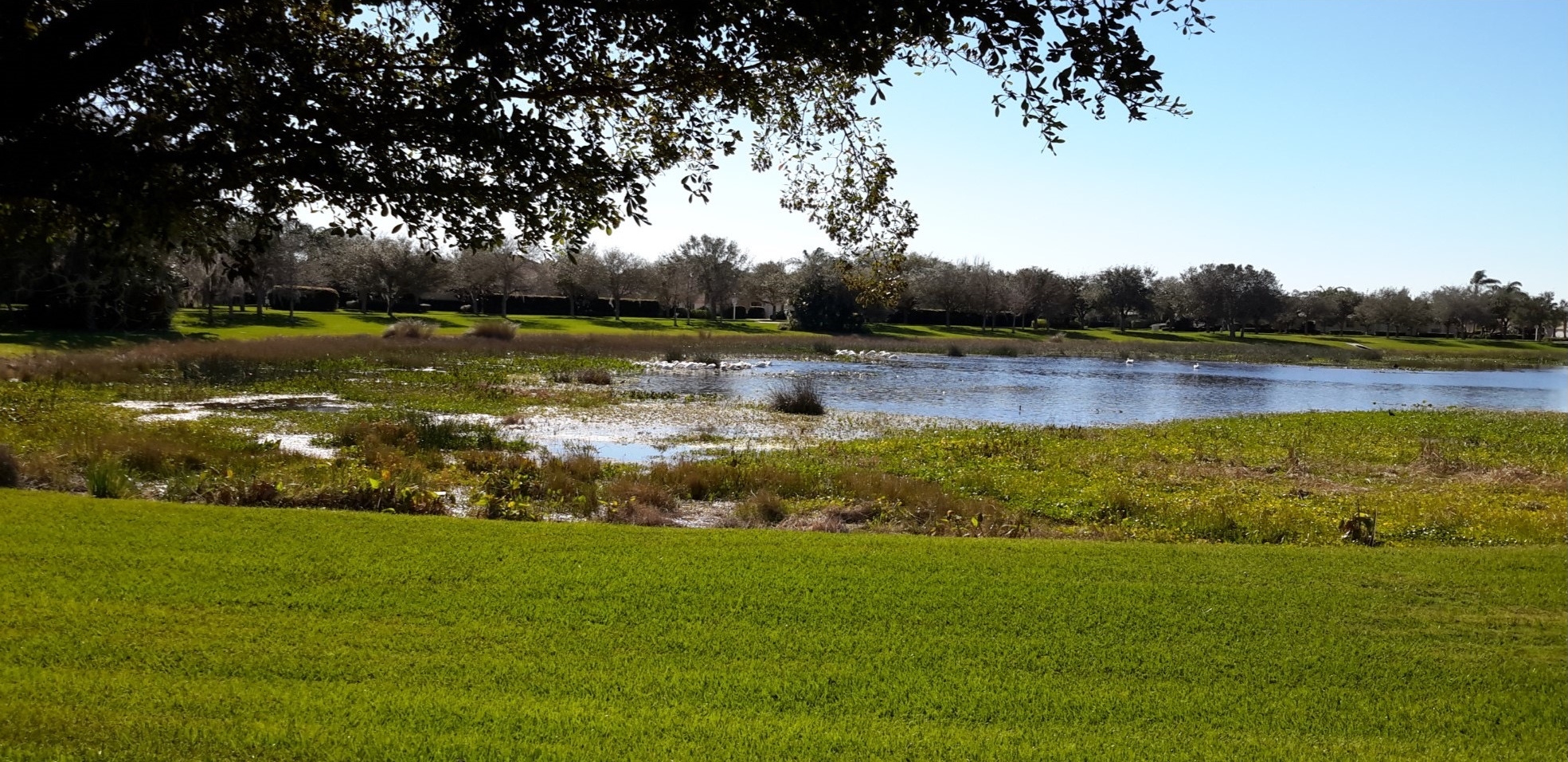 restoring wetland areas