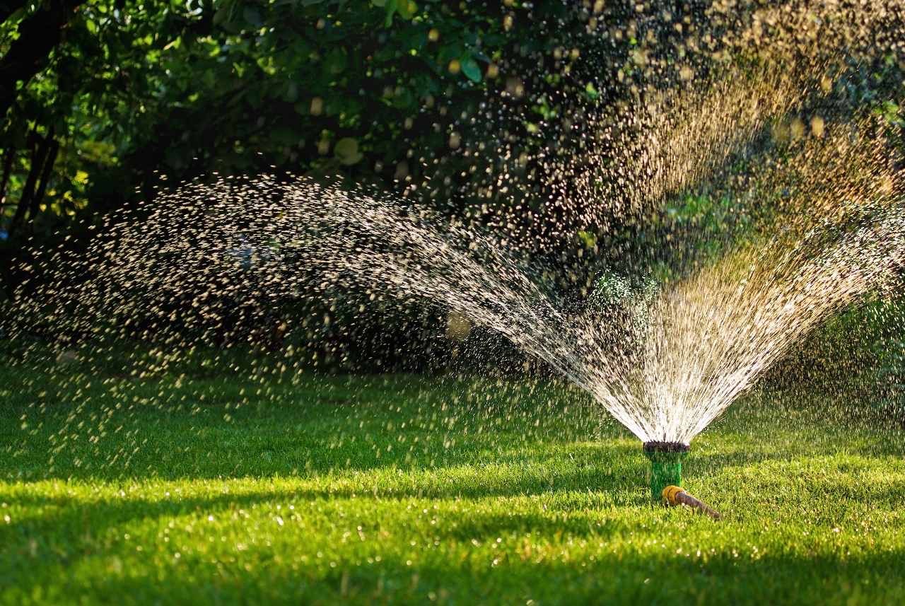 learn how to irrigate properly